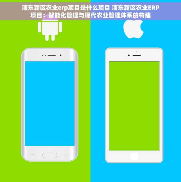 浦东新区农业erp项目是什么项目 浦东新区农业ERP项目：智能化管理与现代农业管理体系的构建