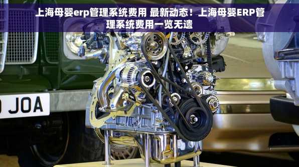 上海母婴erp管理系统费用 最新动态！上海母婴ERP管理系统费用一览无遗