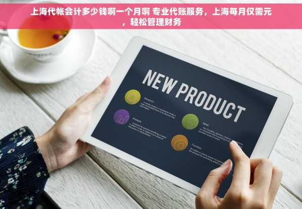 上海代帐会计多少钱啊一个月啊 专业代账服务，上海每月仅需元，轻松管理财务