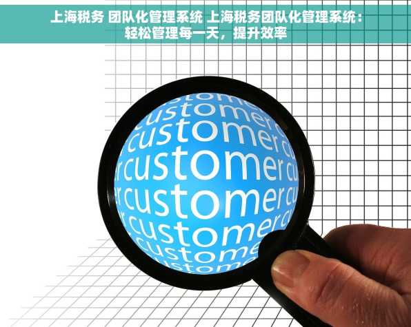 上海税务 团队化管理系统 上海税务团队化管理系统：轻松管理每一天，提升效率