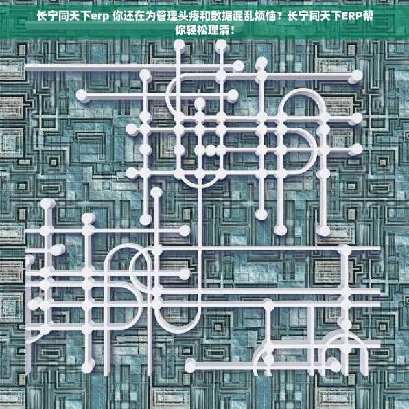 长宁同天下erp 你还在为管理头疼和数据混乱烦恼？长宁同天下ERP帮你轻松理清！