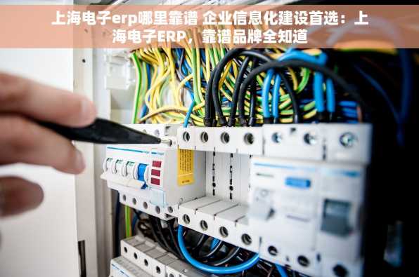 上海电子erp哪里靠谱 企业信息化建设首选：上海电子ERP，靠谱品牌全知道