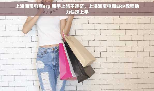 上海淘宝电商erp 新手上路不迷茫，上海淘宝电商ERP教程助力快速上手