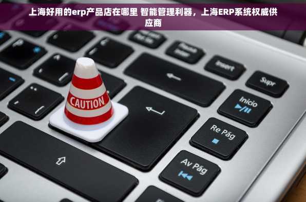 上海好用的erp产品店在哪里 智能管理利器，上海ERP系统权威供应商