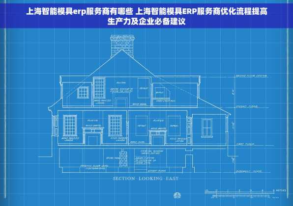 上海智能模具erp服务商有哪些 上海智能模具ERP服务商优化流程提高生产力及企业必备建议