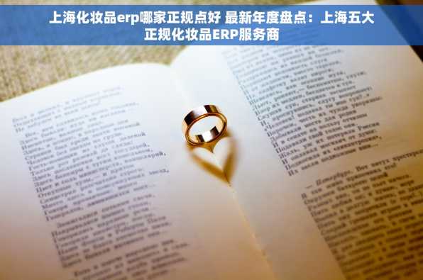 上海化妆品erp哪家正规点好 最新年度盘点：上海五大正规化妆品ERP服务商