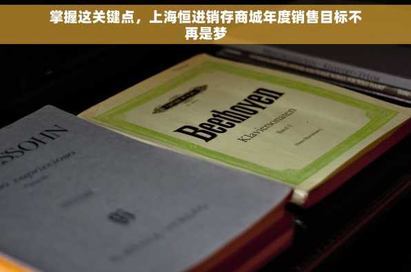 掌握这关键点，上海恒进销存商城年度销售目标不再是梦
