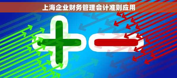 上海企业财务管理会计准则应用