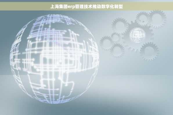上海集团erp管理技术推动数字化转型