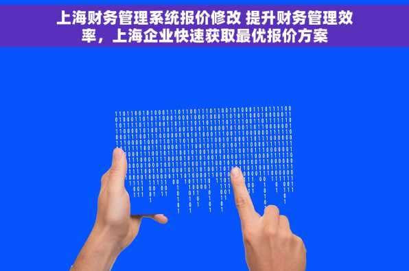 上海财务管理系统报价修改 提升财务管理效率，上海企业快速获取最优报价方案