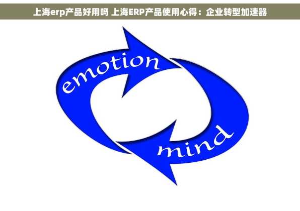 上海erp产品好用吗 上海ERP产品使用心得：企业转型加速器