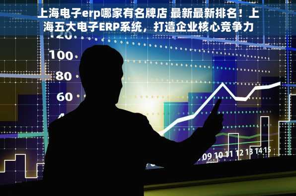 上海电子erp哪家有名牌店 最新最新排名！上海五大电子ERP系统，打造企业核心竞争力
