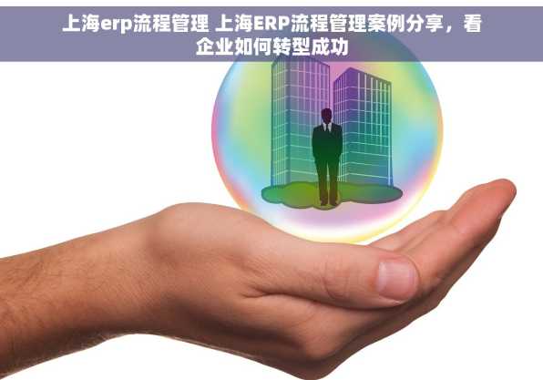 上海erp流程管理 上海ERP流程管理案例分享，看企业如何转型成功