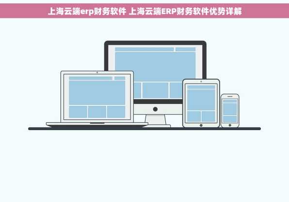 上海云端erp财务软件 上海云端ERP财务软件优势详解