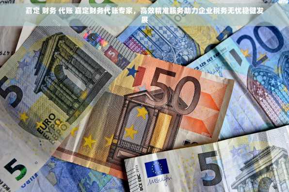 嘉定 财务 代账 嘉定财务代账专家，高效精准服务助力企业税务无忧稳健发展