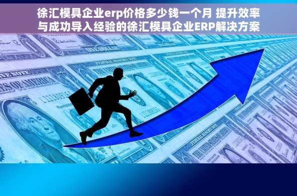 徐汇模具企业erp价格多少钱一个月 提升效率与成功导入经验的徐汇模具企业ERP解决方案价格