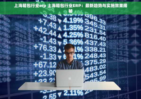 上海箱包行业erp 上海箱包行业ERP：最新趋势与实施效果揭秘