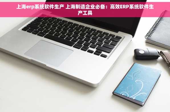 上海erp系统软件生产 上海制造企业必备：高效ERP系统软件生产工具