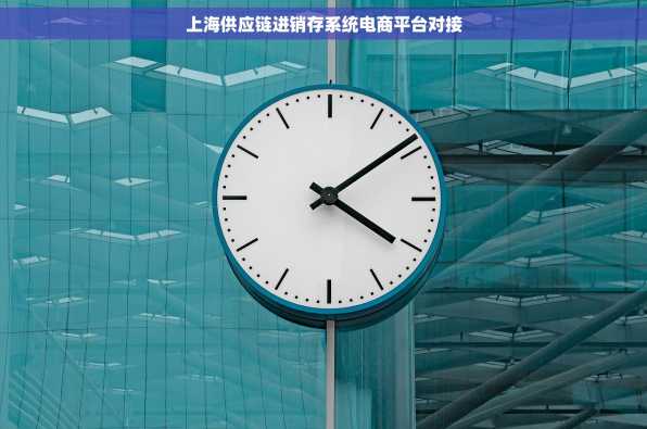 上海供应链进销存系统电商平台对接