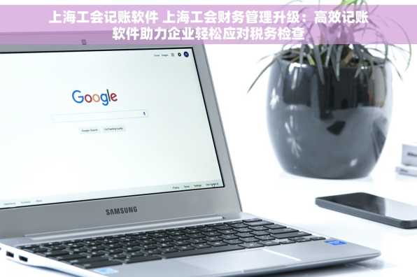 上海工会记账软件 上海工会财务管理升级：高效记账软件助力企业轻松应对税务检查