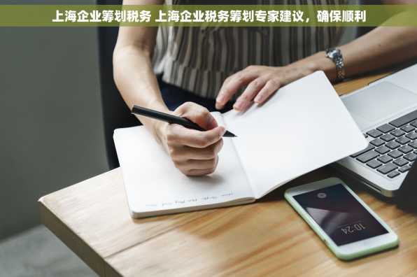 上海企业筹划税务 上海企业税务筹划专家建议，确保顺利