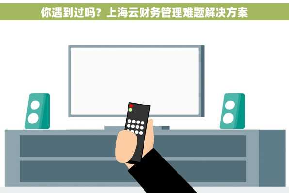 你遇到过吗？上海云财务管理难题解决方案