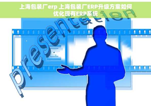 上海包装厂erp 上海包装厂ERP升级方案如何优化现有ERP系统