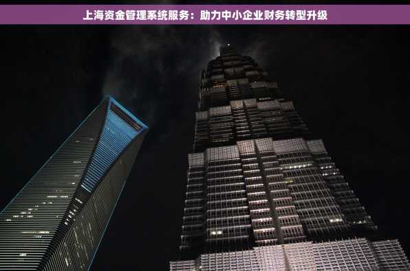 上海资金管理系统服务：助力中小企业财务转型升级