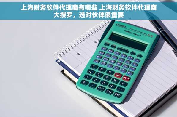 上海财务软件代理商有哪些 上海财务软件代理商大搜罗，选对伙伴很重要