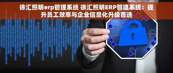 徐汇照明erp管理系统 徐汇照明ERP管理系统：提升员工效率与企业信息化升级首选