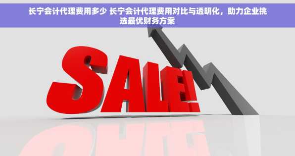 长宁会计代理费用多少 长宁会计代理费用对比与透明化，助力企业挑选最优财务方案