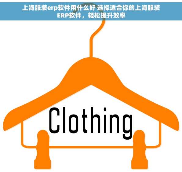 上海服装erp软件用什么好 选择适合你的上海服装ERP软件，轻松提升效率