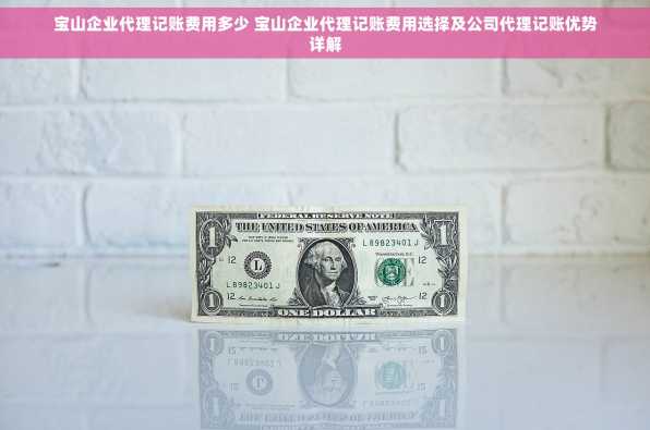 宝山企业代理记账费用多少 宝山企业代理记账费用选择及公司代理记账优势详解