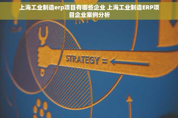 上海工业制造erp项目有哪些企业 上海工业制造ERP项目企业案例分析