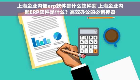上海企业内部erp软件是什么软件啊 上海企业内部ERP软件是什么？高效办公的必备神器