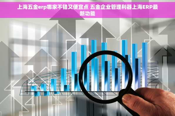 上海五金erp哪家不错又便宜点 五金企业管理利器上海ERP最新功能