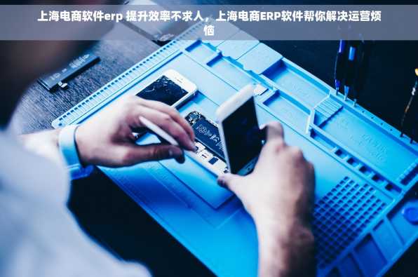 上海电商软件erp 提升效率不求人，上海电商ERP软件帮你解决运营烦恼