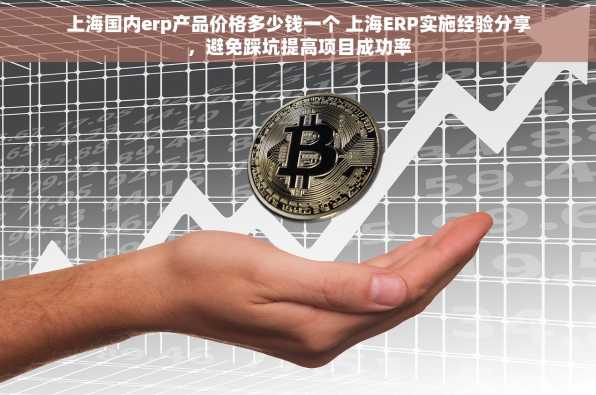 上海国内erp产品价格多少钱一个 上海ERP实施经验分享，避免踩坑提高项目成功率