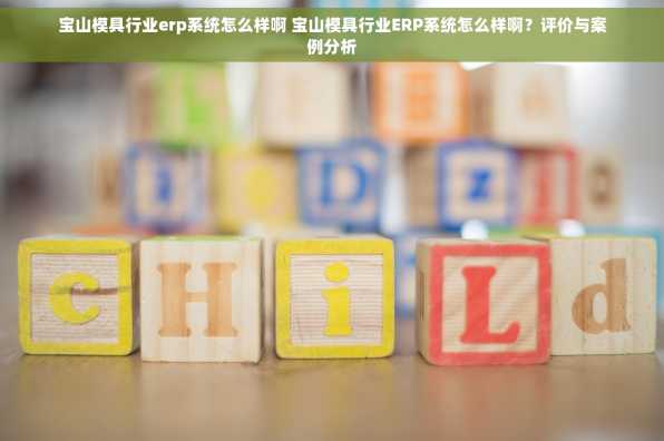 宝山模具行业erp系统怎么样啊 宝山模具行业ERP系统怎么样啊？评价与案例分析