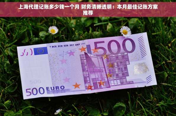 上海代理记账多少钱一个月 财务清晰透明：本月最佳记账方案推荐
