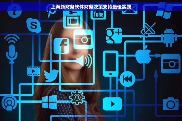 上海新财务软件财务决策支持最佳实践