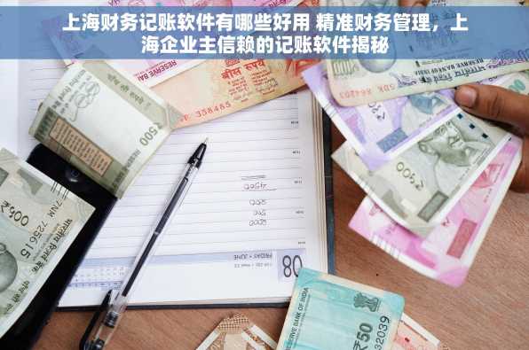 上海财务记账软件有哪些好用 精准财务管理，上海企业主信赖的记账软件揭秘
