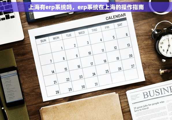 上海有erp系统吗，erp系统在上海的操作指南