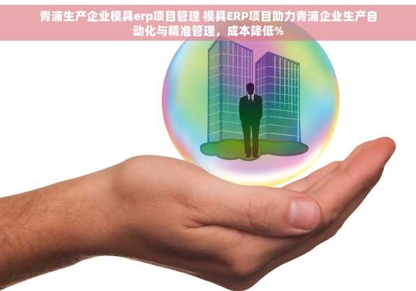 青浦生产企业模具erp项目管理 模具ERP项目助力青浦企业生产自动化与精准管理，成本降低%