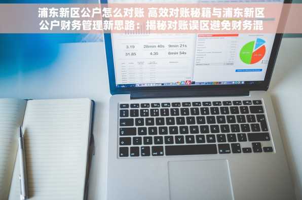 浦东新区公户怎么对账 高效对账秘籍与浦东新区公户财务管理新思路：揭秘对账误区避免财务混乱