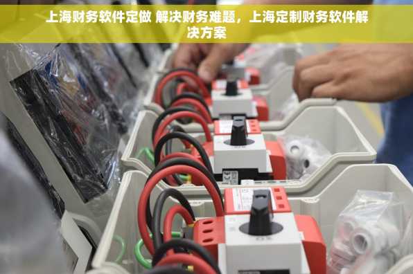 上海财务软件定做 解决财务难题，上海定制财务软件解决方案