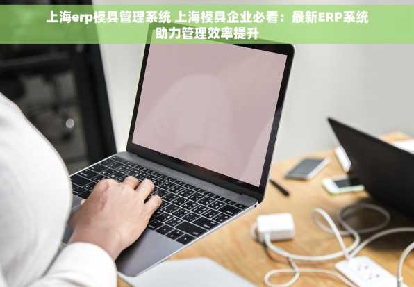 上海erp模具管理系统 上海模具企业必看：最新ERP系统助力管理效率提升