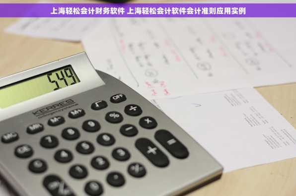 上海轻松会计财务软件 上海轻松会计软件会计准则应用实例