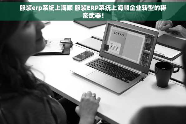 服装erp系统上海顺 服装ERP系统上海顺企业转型的秘密武器！
