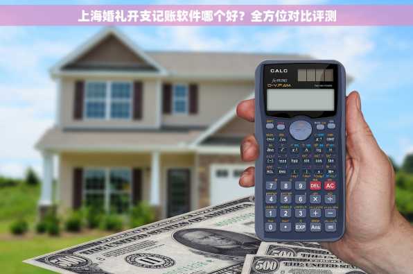 上海婚礼开支记账软件哪个好？全方位对比评测
